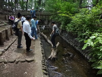 DSC00722.JPG
