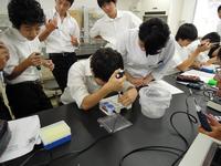 H25SPP1③.jpg