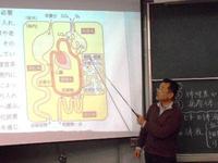 高1生物:体内環境
