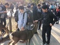 奈良公園で