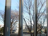校長室から窓外風景.JPG