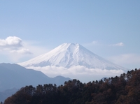 20121125御前山・九鬼山 (14).JPG