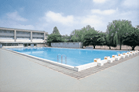 Olympic-size Swimming Pool